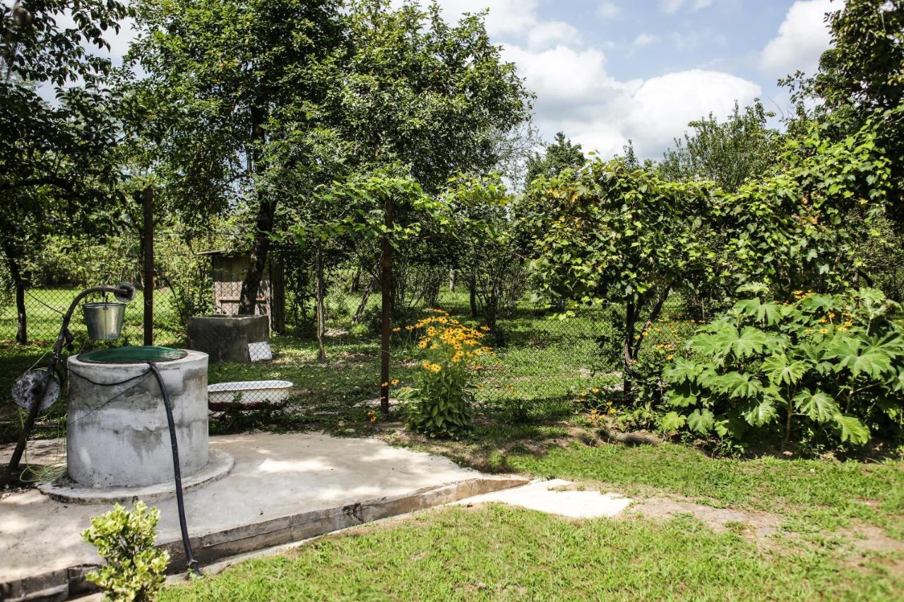 Daraselia Family Guesthouse Zugdidi Exterior photo