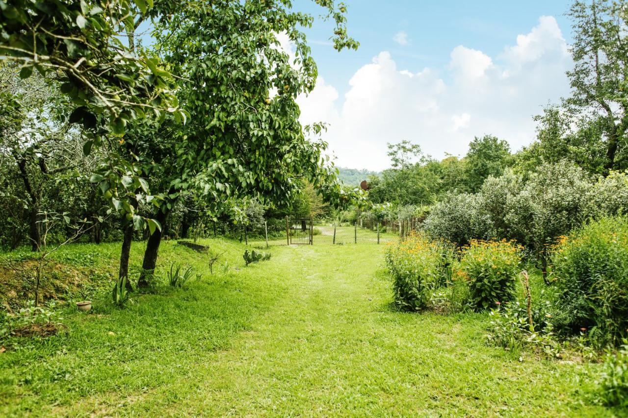 Daraselia61 Bed & Breakfast Zugdidi Exterior photo